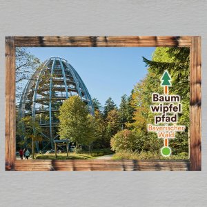 Baumwipfelpfad - Bayerischer Wald - magnet C6 rám dvojitý