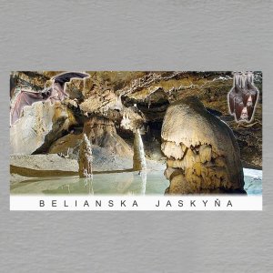 Belianska jaskyňa - netopýr - magnet DL