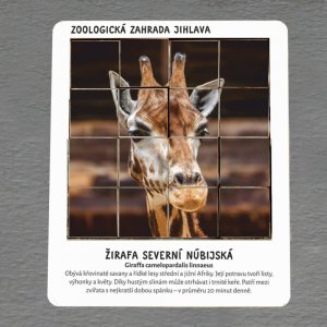 ZOO Jihlava - Žirafa - hlavolam - 16 dílků