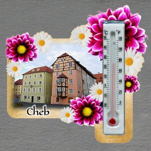 Cheb - magnet s teploměrem - obdélník s květy - růžovo-bílé