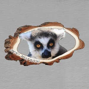 ZOO Bojnice - Lemur - magnet kůra prořez