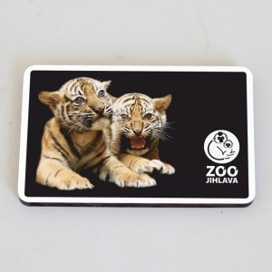 ZOO Jihlava - Tygři - magnet