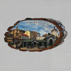 Karlovy Vary - Lázně - magnet kůra ovál