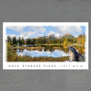 Nové Štrbské pleso - svišť - magnet DL