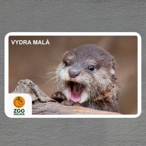 ZOO Jihlava - Vydra - logo - magnet oblé rohy