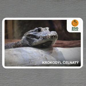 ZOO Jihlava - Krokodýl - logo - magnet oblé rohy