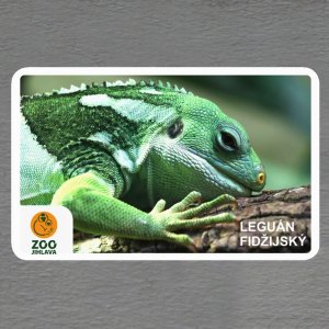 ZOO Jihlava - Leguán - logo - magnet oblé rohy