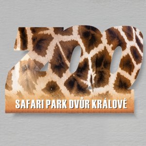 Safari park - Dvůr Králové n/Labem - kůže - Žirafa - magnet ořez ZOO