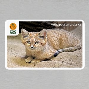 ZOO Jihlava - Kočka pouštní arabská - logo - magnet oblé rohy