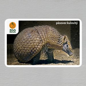 ZOO Jihlava - Pásovec kulovitý - logo - magnet oblé rohy