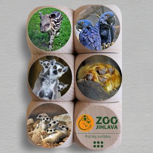 ZOO Jihlava - kostka 5cm - bez teček