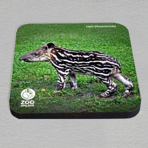 ZOO Jihlava - Tapír jihoamerický - podtácek laser hranatý