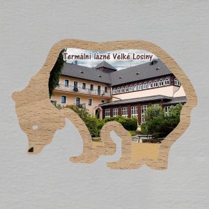 Velké Losiny - Termální lázně - magnet medvěd