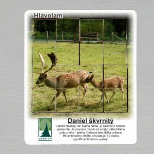 Lesnícky skanzen Vydrovo - Daniel - hlavolam