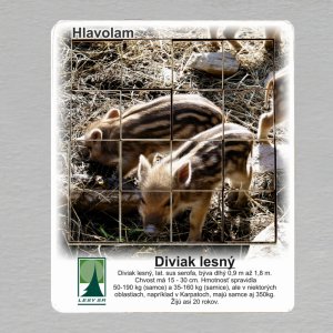 Lesnícky skanzen Vydrovo - Diviak - hlavolam