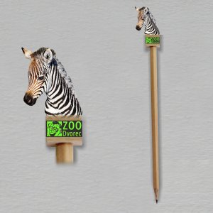 ZOO Dvorec - Zebra - tužka