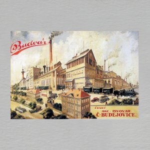 Budweiser Budvar - magnet C6