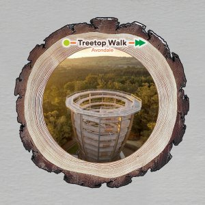 Treetop Walk - magnet kůra kulatá