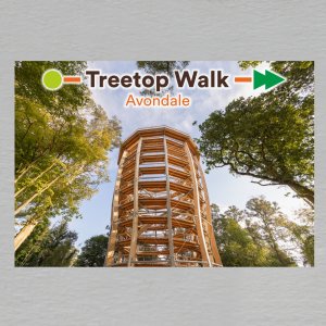 Treetop Walk - magnet C6