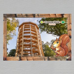 Treetop Walk - magnet C6 dvojitý