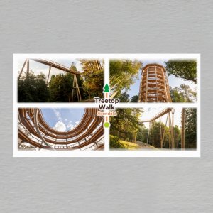 Treetop Walk - magnet DL koláž