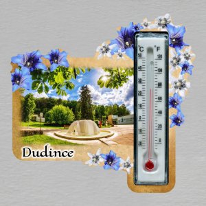 Dudince - magnet s teploměrem - obdélník s květy bílo-modré