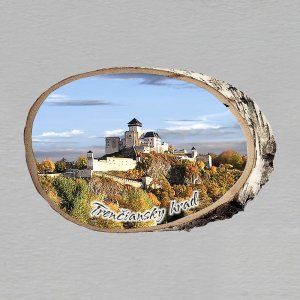 Trenčiansky hrad - magnet bříza