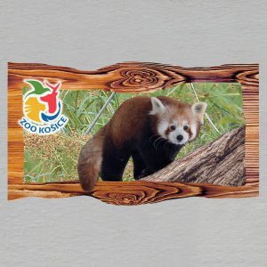 Košice ZOO - Panda červená - magnet prkno