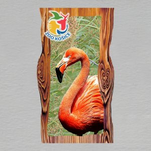 Košice ZOO - Plameňák - magnet prkno