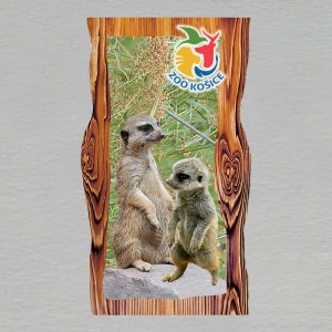 Košice ZOO - Surikaty - magnet prkno