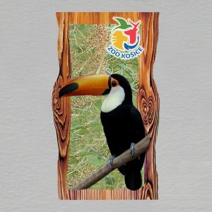 Košice ZOO - Tukan - magnet prkno