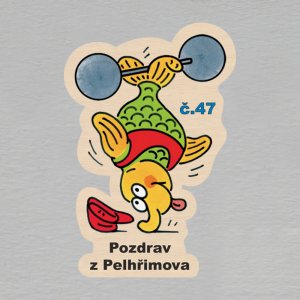 č. 47 Pozdrav z Pelhřimova - magnet