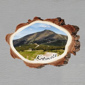 Krkonoše - magnet kůra malá