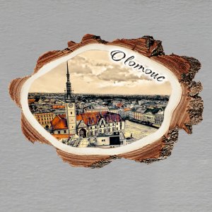 Olomouc - magnet kůra malá