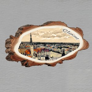 Olomouc - magnet kůra