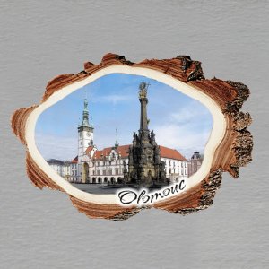 Olomouc - magnet kůra malá