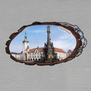 Olomouc - magnet kůra ovál