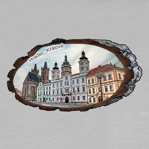 Hradec Králové - Náměstí - magnet kůra ová