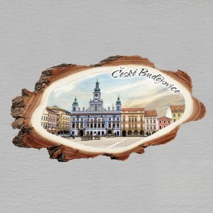 České Budějovice - magnet kůra