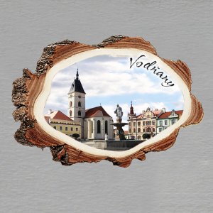 Vodňany - magnet kůra malá