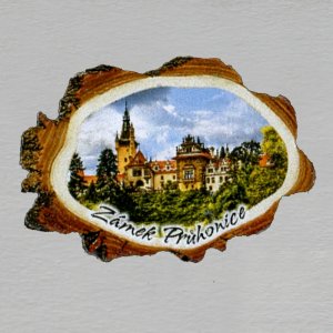 Průhonice - magnet kůra malá