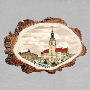 Opava - magnet kůra malá