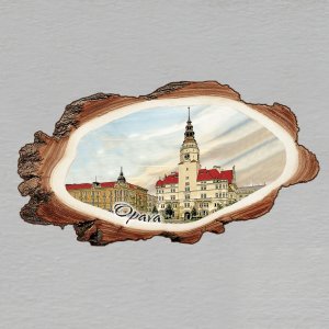 Opava - magnet kůra