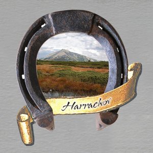 Harrachov 4 - magnet podkova