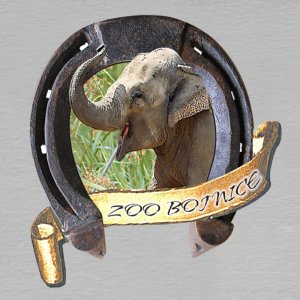 ZOO Bojnice - Slon - magnet podkova